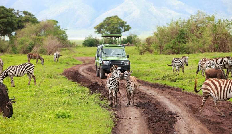 Tanzania Serengeti