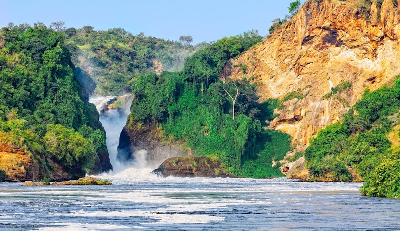 Bwindi Uganda